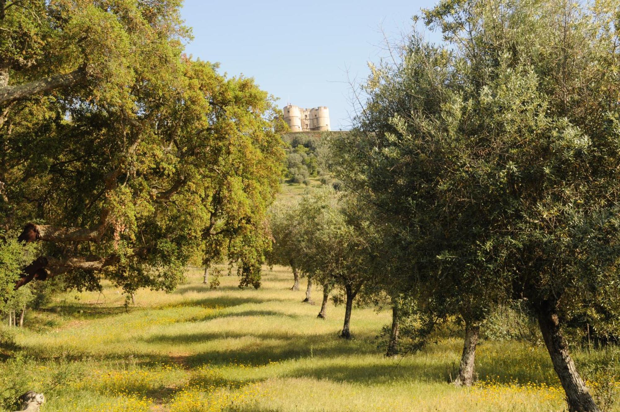 Quinta De Evoramonte Villa Estremoz Buitenkant foto